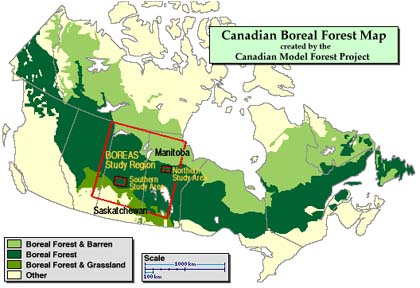 Canadian Boreal Forest